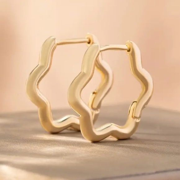 ✨Free People Alena Earrings - Picture 1 of 7